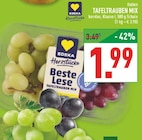 Marktkauf Greven - TAFELTRAUBEN MIX Angebot im Prospekt TAFELTRAUBEN MIX bei Marktkauf im Greven Prospekt für 1,99 €