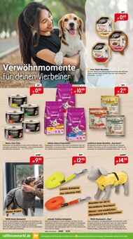 Regenjacke im Raiffeisenmarkt Prospekt "Unsere Angebote für einen bunten Herbst" mit 8 Seiten (Koblenz)