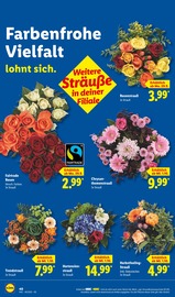 Aktueller Lidl Prospekt mit Hortensie, "LIDL LOHNT SICH", Seite 60