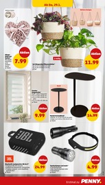 Rollo im Penny Prospekt in Gießen Aktueller Penny Prospekt mit Rollo, "Wer günstig will, muss Penny.", Seite 27
