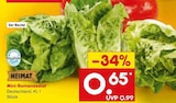 Aktuelle Salat Angebote bei Netto Marken-Discount in Stuttgart Aktuelles Mini-Romanasalat Angebot bei Netto Marken-Discount in Stuttgart ab 0,65 €