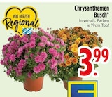Chrysanthemen Busch im EDEKA Prospekt Chrysanthemen Busch von im aktuellen EDEKA Prospekt fĂŒr 3,99 âŹ