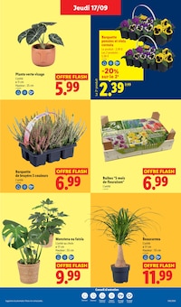Catalogue Lidl, 17/09/2026 - 23/09/2026, Cap sur l'Italie !, 67 pages Prospectus Lidl en cours, "Cap sur l'Italie !", 67 pages