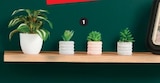 Super U Limoges - Promo Foire a la plante artificielle Promo Foire a la plante artificielle à 0,99 € dans le catalogue Super U à Limoges