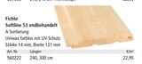 Aktuelles Profilholz Fichte Softline 53 endbehandelt Angebot bei Holz Possling in Berlin ab 22,95 €