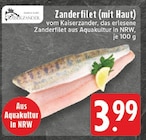 Zanderfilet bei EDEKA im Ahlen Prospekt für 3,99 €