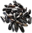 Miesmuschel von PRO TRACE im aktuellen METRO Prospekt für 6,60 €