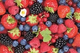 Kulturheidelbeeren oder Himbeeren oder Brombeeren im EDEKA Prospekt Kulturheidelbeeren oder Himbeeren oder Brombeeren von Driscoll's im aktuellen EDEKA Prospekt für 4,00 €