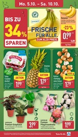 Champignons im ALDI Nord Prospekt in Braunschweig Aktueller ALDI Nord Prospekt mit Champignons, "Aktuelle Angebote", Seite 3