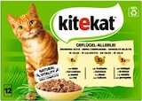 Geflügel Allerlei im Angebot bei REWE in Meerbusch Geflügel Allerlei Angebote von Kitekat bei REWE Meerbusch für 2,99 €