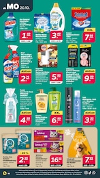 Weißer Riese Angebot & Preis im aktuellen Netto mit dem Scottie Prospekt Weißer Riese Angebot im aktuellen Netto mit dem Scottie Prospekt auf Seite 18