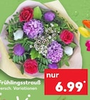 Angebot im Kaufland Aerzen Prospekt Kaufland Aerzen Prospekt mit im Angebot für 6,99 €