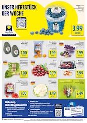 Blumenzwiebeln im diska Prospekt in Hof Aktueller diska Prospekt mit Blumenzwiebeln, "alles an deinem ort.", Seite 4