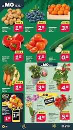 Gurke Angebot & Preis im aktuellen Netto mit dem Scottie Prospekt Gurke Angebot im aktuellen Netto mit dem Scottie Prospekt auf Seite 2