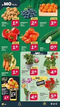 Geflügel Angebot im Netto mit dem Scottie Prospekt, gültig von 15.12.2025 bis 20.12.2025 Geflügel Angebot im aktuellen Netto mit dem Scottie Prospekt auf Seite 2