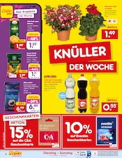 Aktueller Netto Marken-Discount Prospekt mit Balkonpflanzen, "Aktuelle Angebote", Seite 2