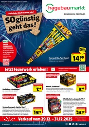 Hagebaumarkt Prospekt für Norderstedt: "So günstig geht das!", 4 Seiten, 29.12.2025 - 31.12.2025