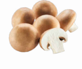 Champignon braun Angebote bei Netto Marken-Discount Bottrop für 1,79 €