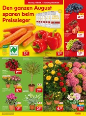 Fertiggerichte im Netto Marken-Discount Prospekt in Saarbrücken Aktueller Netto Marken-Discount Prospekt mit Fertiggerichte, "Aktuelle Angebote", Seite 11