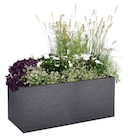 Jardinière décorative ECLOZ - ECLOZ à 69,99 € dans le catalogue Jardiland