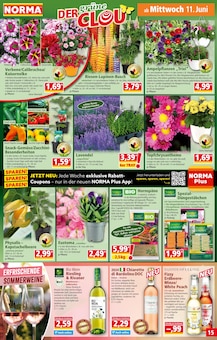 Dünger Angebot im aktuellen Norma Prospekt auf Seite 16