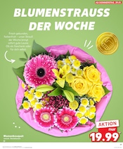 Geschenke im Kaufland Prospekt in Coesfeld Aktueller Kaufland Prospekt mit Geschenke, "Aktuelle Angebote", Seite 29