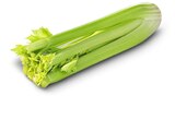 Penny Altomünster - Bio-Staudensellerie Angebot im Prospekt Bio-Staudensellerie bei Penny im Altomünster Prospekt für 1,99 €