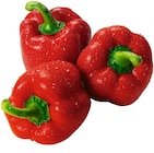 REWE Lippetal - Rote Paprika Angebot im Prospekt Rote Paprika bei REWE im Lippetal Prospekt für 1,19 €