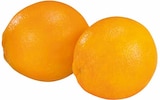 Orangen Navelinas bei EDEKA im Lünen Prospekt für 2,99 €