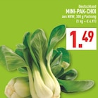 MINI-PAK-CHOI im Angebot bei Marktkauf in Münster MINI-PAK-CHOI Angebote bei Marktkauf Münster für 1,49 €