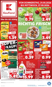 Aktueller Kaufland Prospekt (Eilenburg) Kaufland Prospekt mit 58 Seiten (Eilenburg)