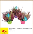 Bruyère Calluna tricolore pot couleur 13 CM dans le catalogue Intermarché Hyper