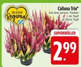 Calluna Trio im Angebot bei EDEKA in Kempten Calluna Trio Angebote bei EDEKA Kempten für 2,99 €