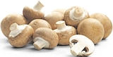 Braune Champignons Angebote von REWE Beste Wahl bei REWE Dortmund für 1,49 €