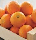 Promo Orange à dessert et/ou à jus à 2,29 € dans le catalogue Intermarché Contact à Rodez