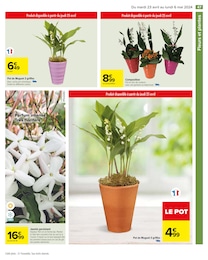 Offre Fleurs d'extérieur dans le catalogue Carrefour du moment à la page 49