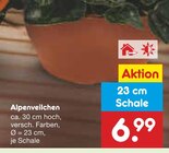 Alpenveilchen im Angebot bei Netto Marken-Discount in Düsseldorf Alpenveilchen Angebote bei Netto Marken-Discount Düsseldorf für 6,99 €