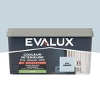 Peinture mur intérieur 2 en 1 Satin 2,5 L Bleu nordique - Evalux en promo chez Brico Dépôt Saintes à 36,90 €