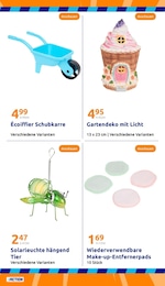 Schubkarre Angebot im aktuellen Action Prospekt auf Seite 25