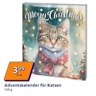 Action - Adventskalender für Katzen Angebot im Prospekt Adventskalender für Katzen bei Action im Prospekt "" für 3,99 €
