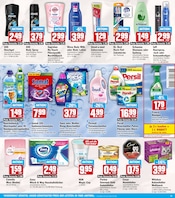 Aktueller HIT Prospekt mit Persil, "ECHTE VIELFALT", Seite 15