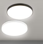 Aktuelles Deckenleuchte Spica Angebot bei toom Baumarkt in Stuttgart ab 7,99 €