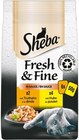 Fresh & Fine Katzennassnahrung im Netto mit dem Scottie Prospekt Fresh & Fine Katzennassnahrung von Sheba im aktuellen Netto mit dem Scottie Prospekt für 1,99 €