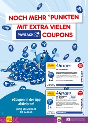 Leuchtmittel im Netto Marken-Discount Prospekt in Neustadt Aktueller Netto Marken-Discount Prospekt mit Leuchtmittel, "Aktuelle Angebote", Seite 66