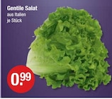 V-Markt Thannhausen - Gentile Salat Angebot im Prospekt Gentile Salat bei V-Markt im Thannhausen Prospekt für 0,99 €