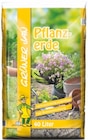 Aktuelles Pflanzerde Angebot bei Thomas Philipps in Ulm ab 3,66 €