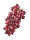 Raisin(e) à 2,49 € dans le catalogue Aldi