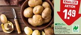 Bio Speisekartoffeln Angebote von REWE Bio bei REWE Bornheim für 1,49 €