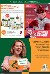 Fernseher im GLOBUS Prospekt in Grimma Aktueller GLOBUS Prospekt mit Fernseher, "Aktuelle Angebote", Seite 24