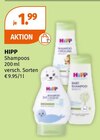 Shampoos von HIPP im aktuellen Müller Prospekt